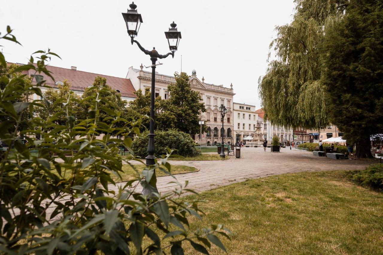 Cathedral Apartment Szczecin Zewnętrze zdjęcie